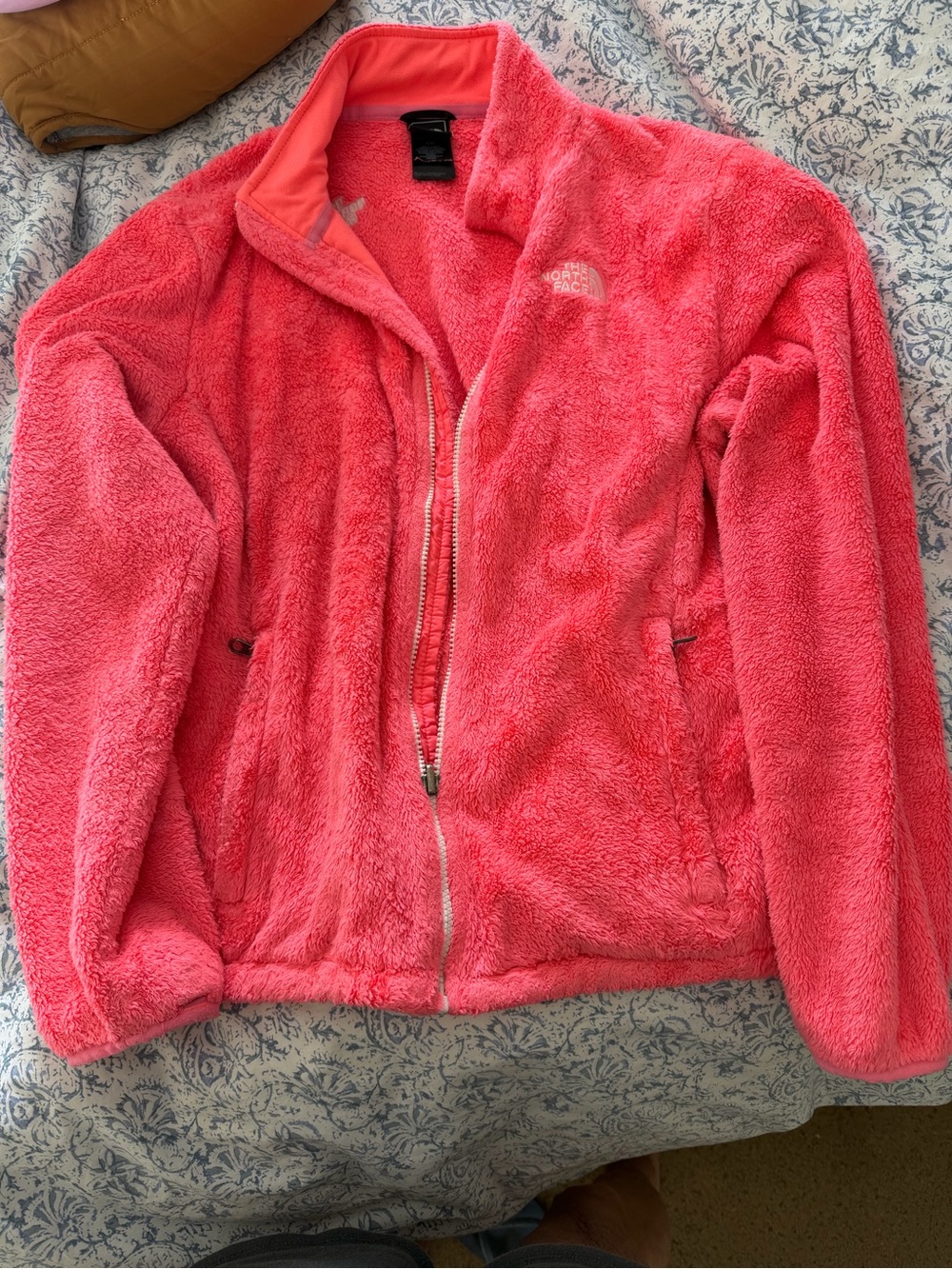 The North Face Women’s Coral Teddy Fleece Jacket